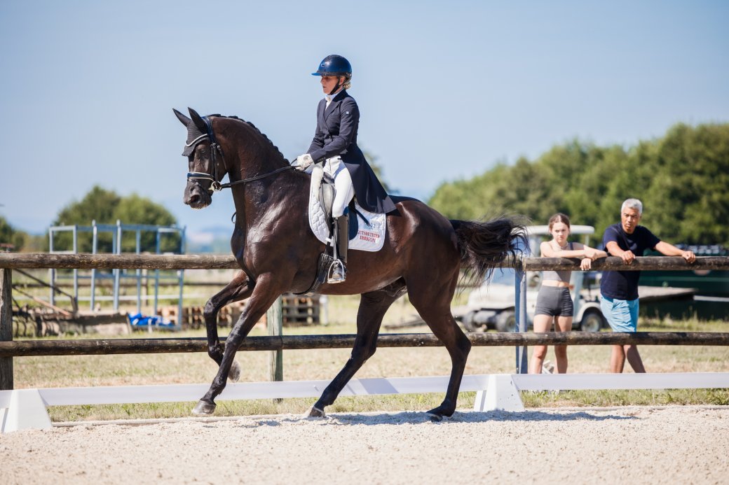 smf_1079